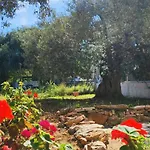 Moloha Skala Kallirakhis