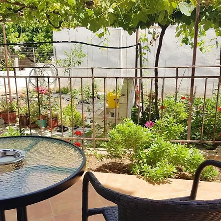 Apartment Moloha