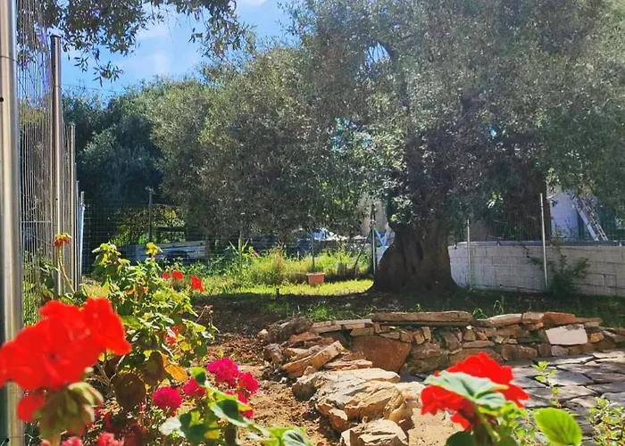 Moloha Skála Kallirákhis